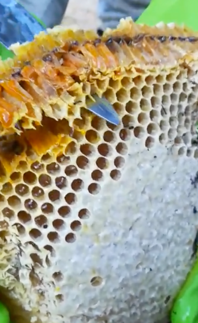 Cutting The Hive