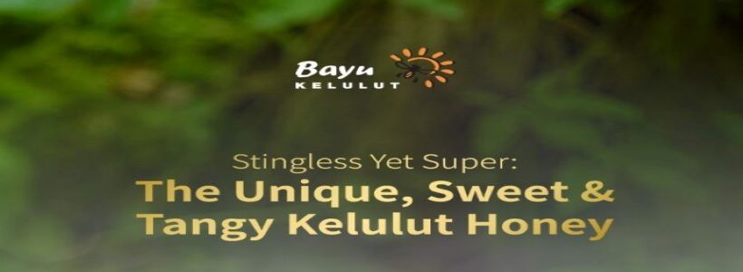 House Of Honey Kelulut (Stingless Bee)